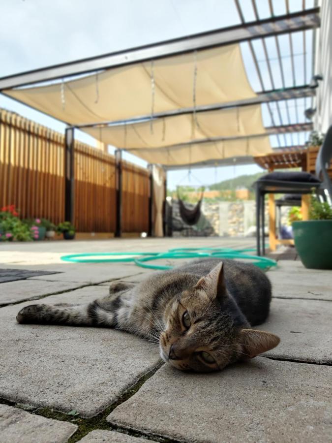 Vigeo Lounge B&B Coffee Bajmóc Kültér fotó