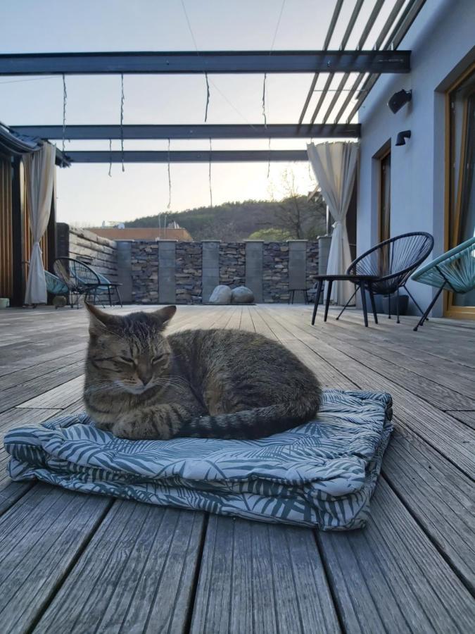 Vigeo Lounge B&B Coffee Bajmóc Kültér fotó